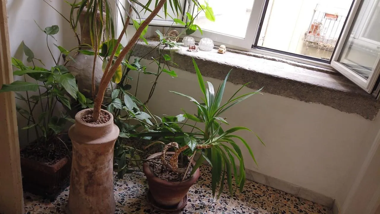 napoli centro spaccanapoli Appartamento